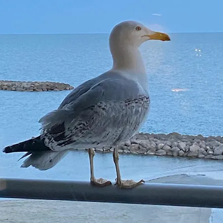 Un Balcon Entre Azur Et - Les Flots *