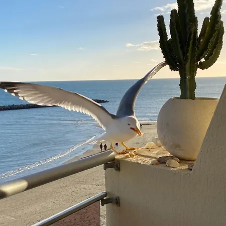 Un Balcon Entre Azur Et - Les Flots Apartament