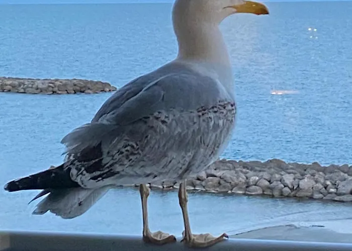 Un Balcon Entre Azur Et - Les Flots *