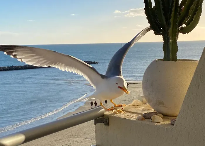 Un Balcon Entre Azur Et - Les Flots Apartamento